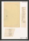 Gomphonema gracile Ehr. (de-Toni-Nr.: Genus 37, Species 1736) Zeichnungen Sammlung Grunow (NHMW-BOT-W0370945)